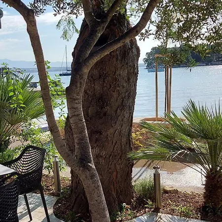 Eden 公寓 普莱克